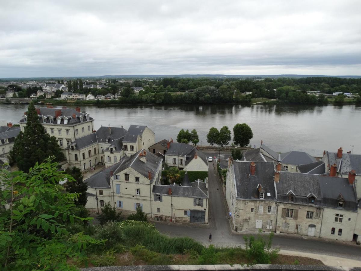 Vue Splendide Sur Chateau Saumur Dış mekan fotoğraf
